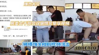  居委会干部会议偷情完整版
